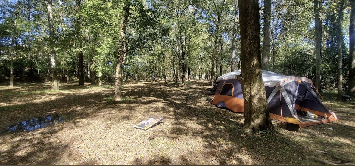 Shaded wooded tent sites in the Crazy Horse campground