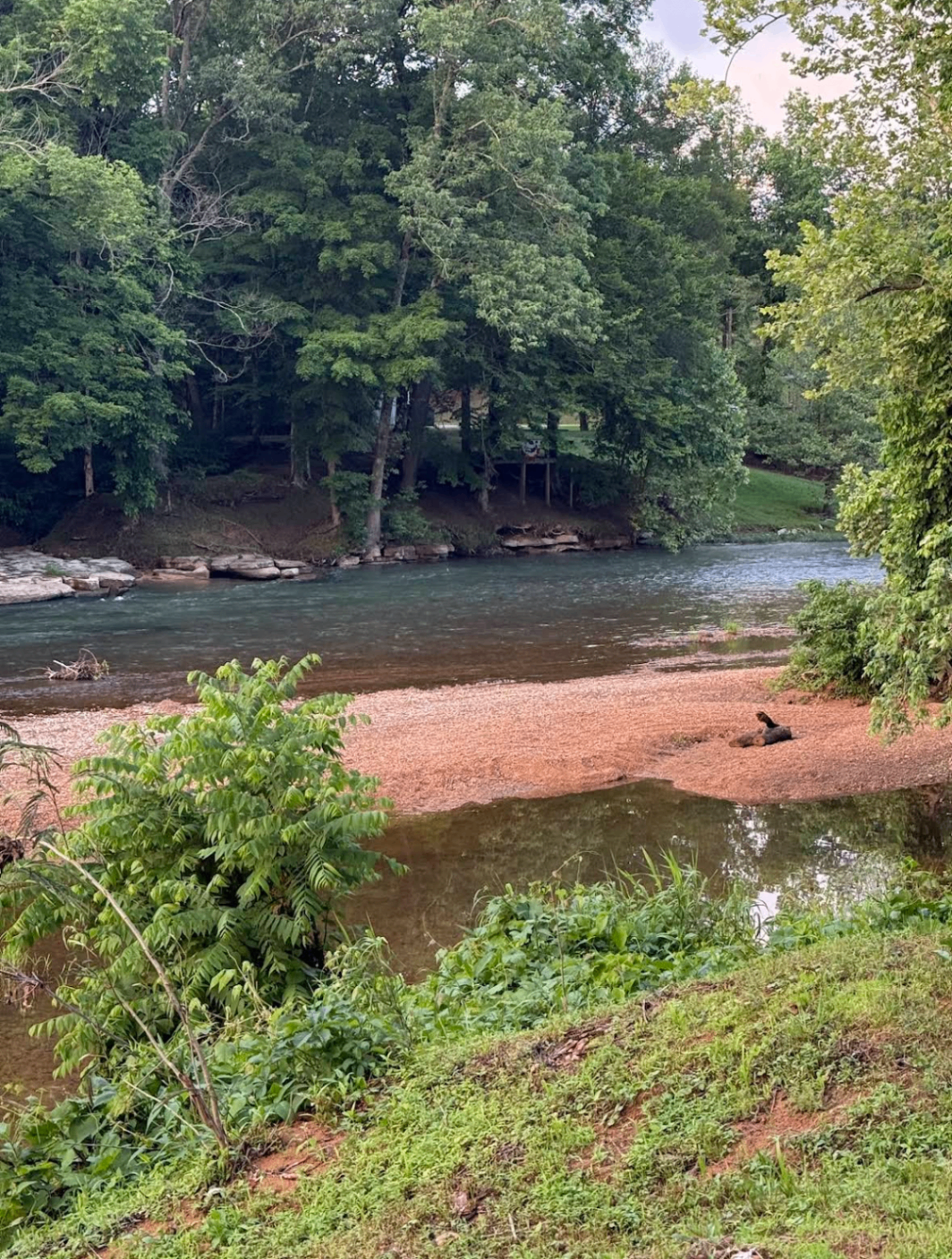 Gravel bar and clear water on the Buffalo River at Crazy Horse