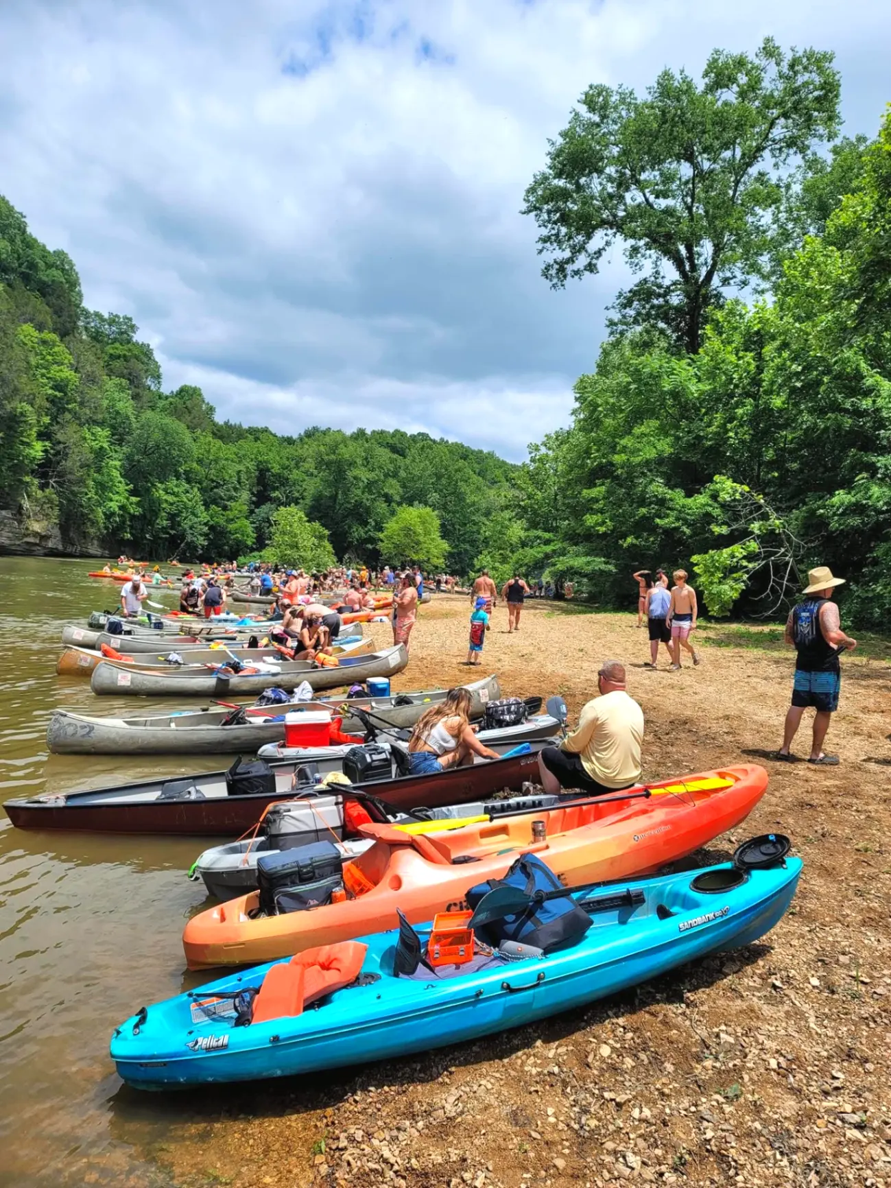 Canoes and kayaks lined up along the riverbank