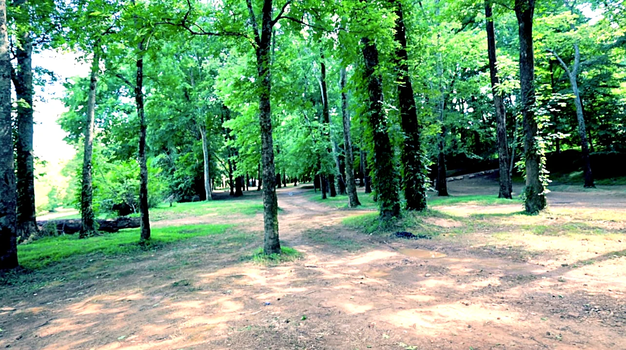 Shaded, grassy camping grove under tall hardwood trees