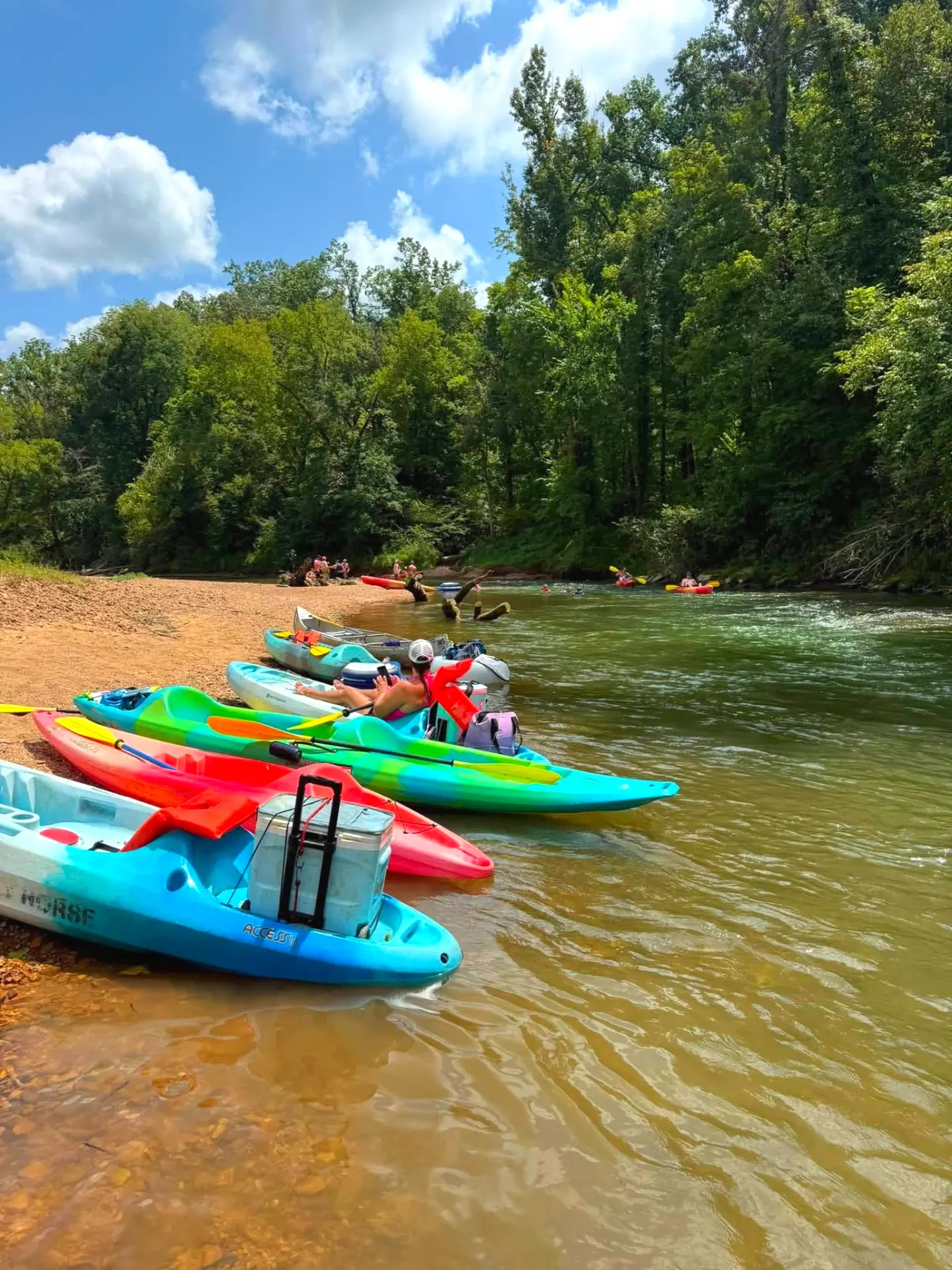 Colorful kayaks and canoes lined up on a sandbar