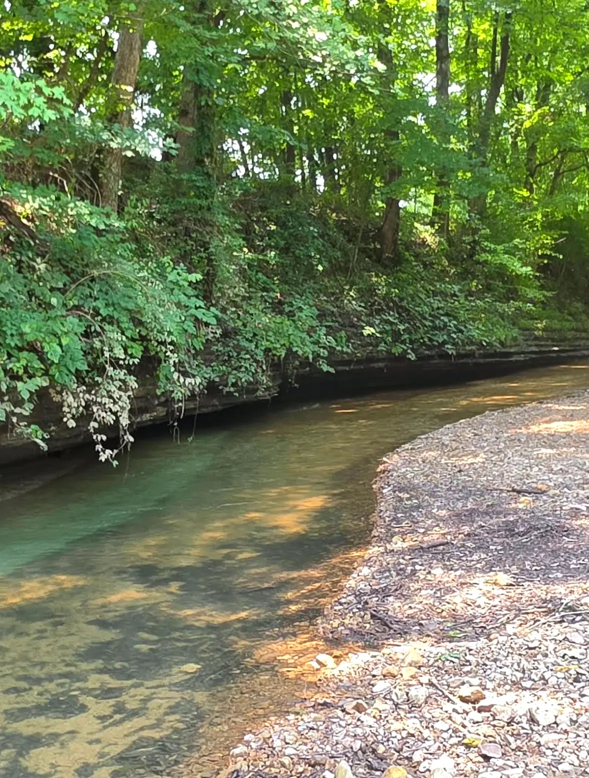 Clear river water winding around a shaded gravel bank